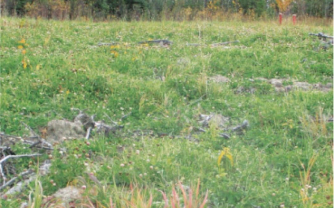 Reclaim Forested Sites