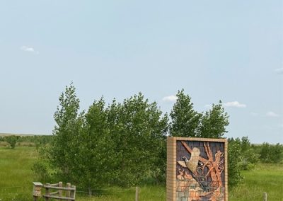 New habitat for pheasants along Ross Creek