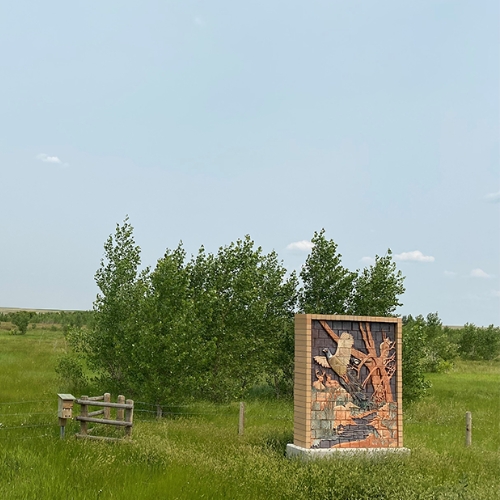 New habitat for pheasants along Ross Creek
