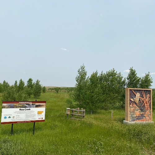 Entrance Art - Ross Creek Conservation Site Project-20-00124-Pic-1