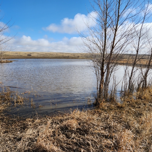 pheasants-pond Project-20-00124-Pic-2