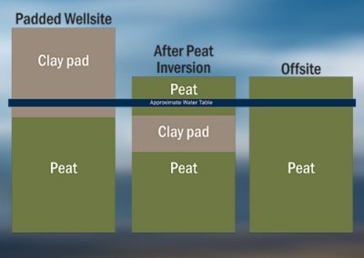 Clay-Peat Inversion
