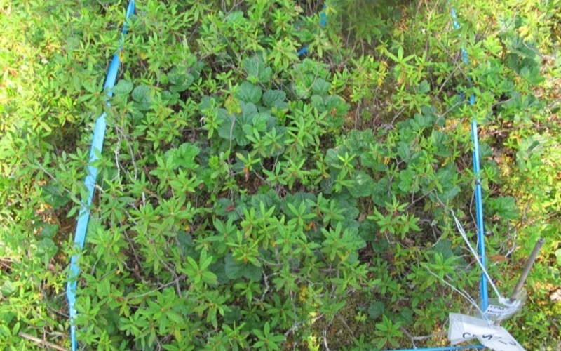 Approvals for Every Phase of Development