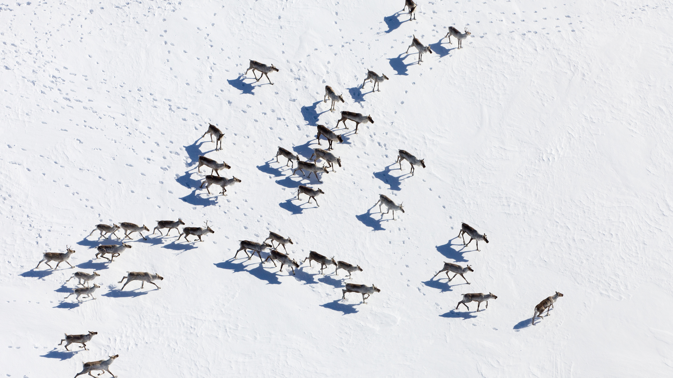 Leading Solutions for Air Quality Management