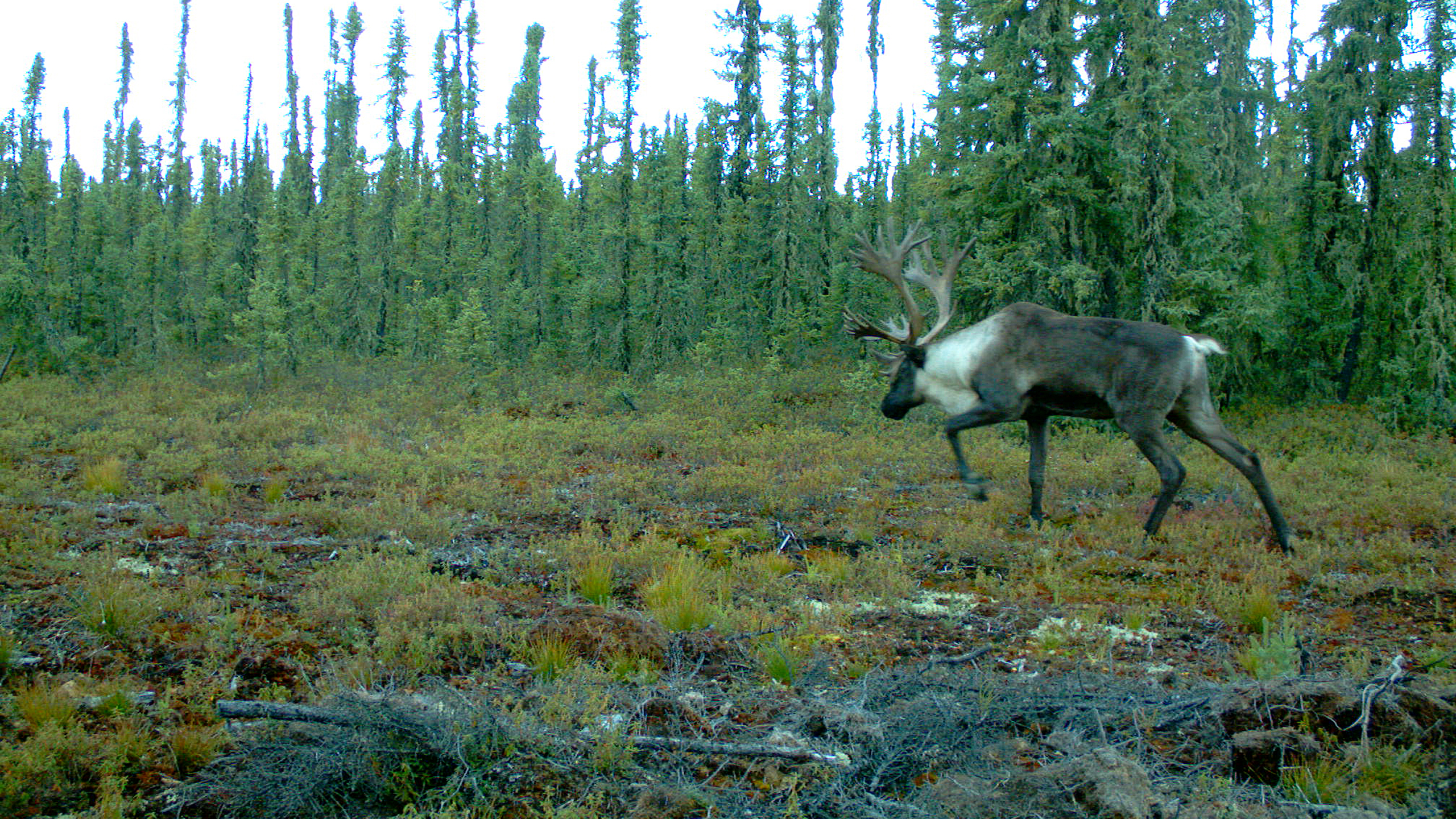 A Starting Point for Sustainable Development