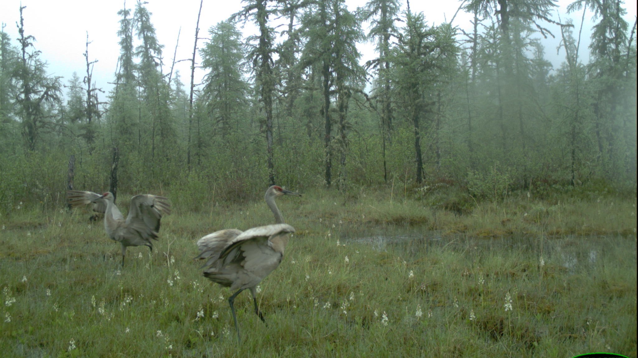 From Strategy to Certification