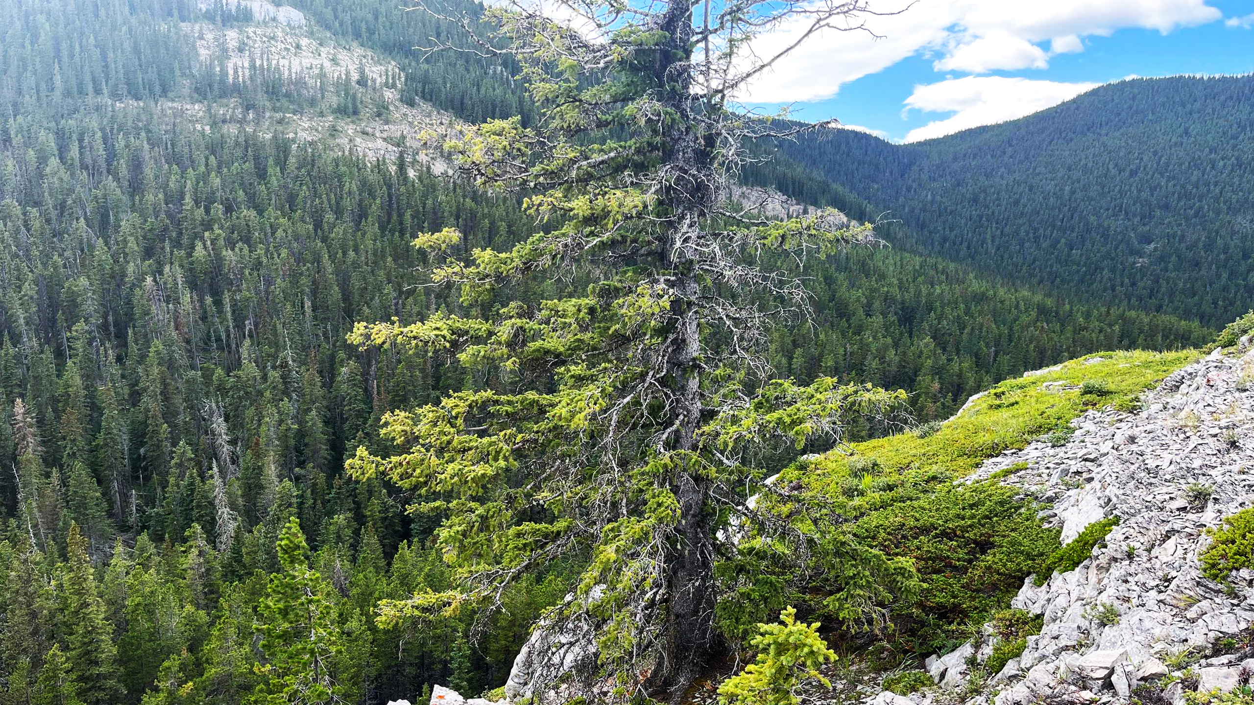 Smart Strategies for Closure Success