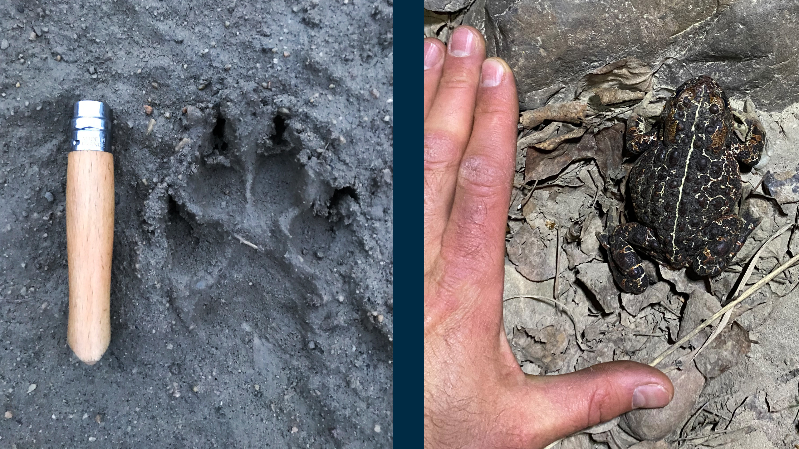 Science-Based Environmental Intelligence