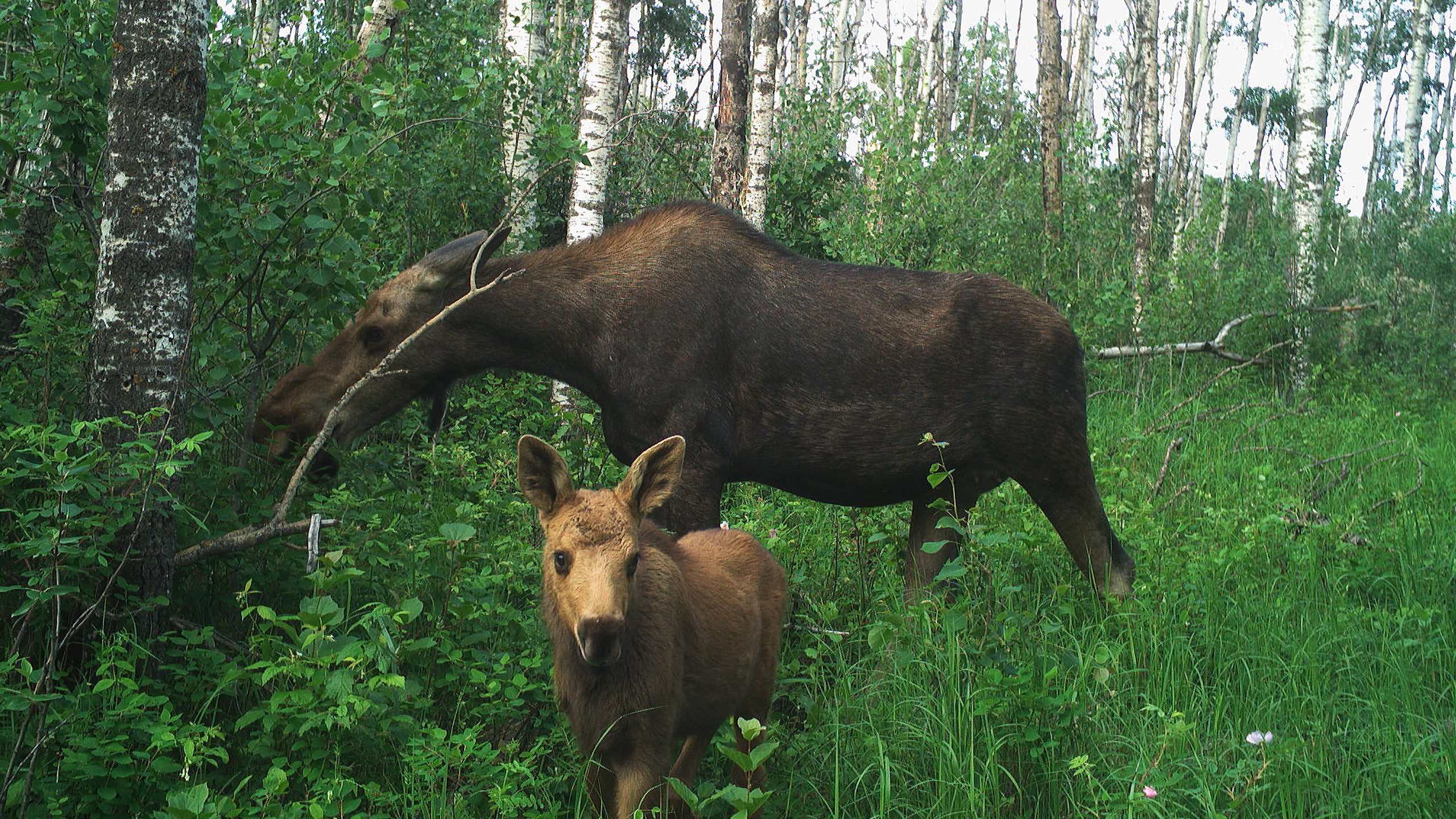 Construction & Environmental Monitoring _ featured img