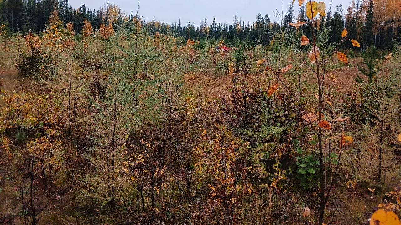 Science-Based Environmental Intelligence