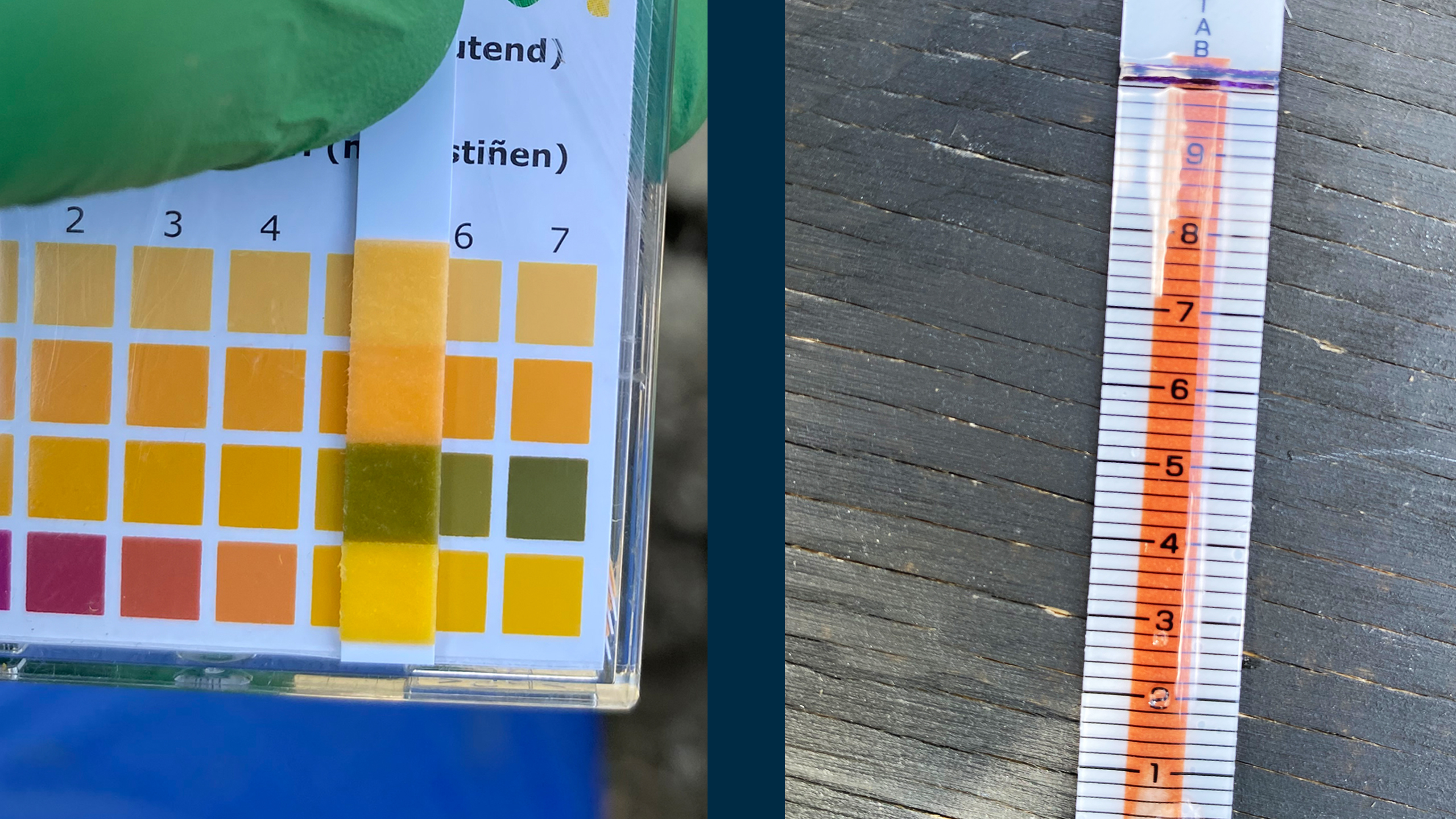 A Starting Point for Sustainable Development