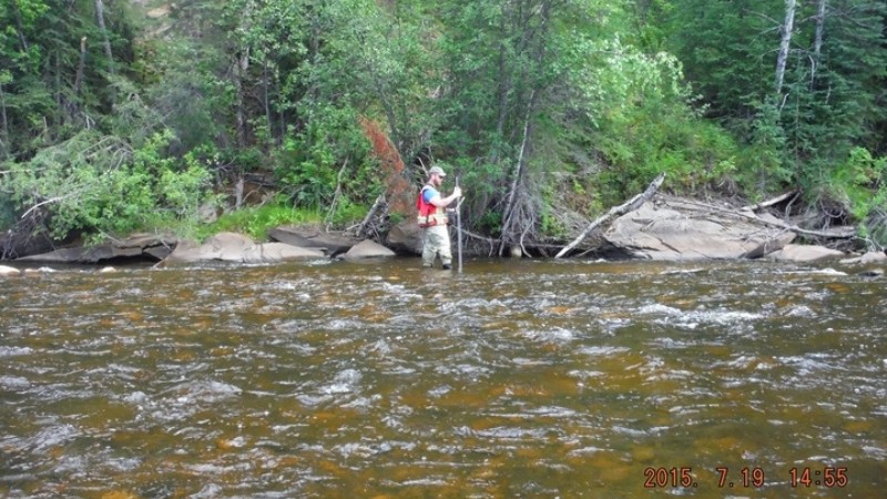 Informed by Data, Driven by Compliance