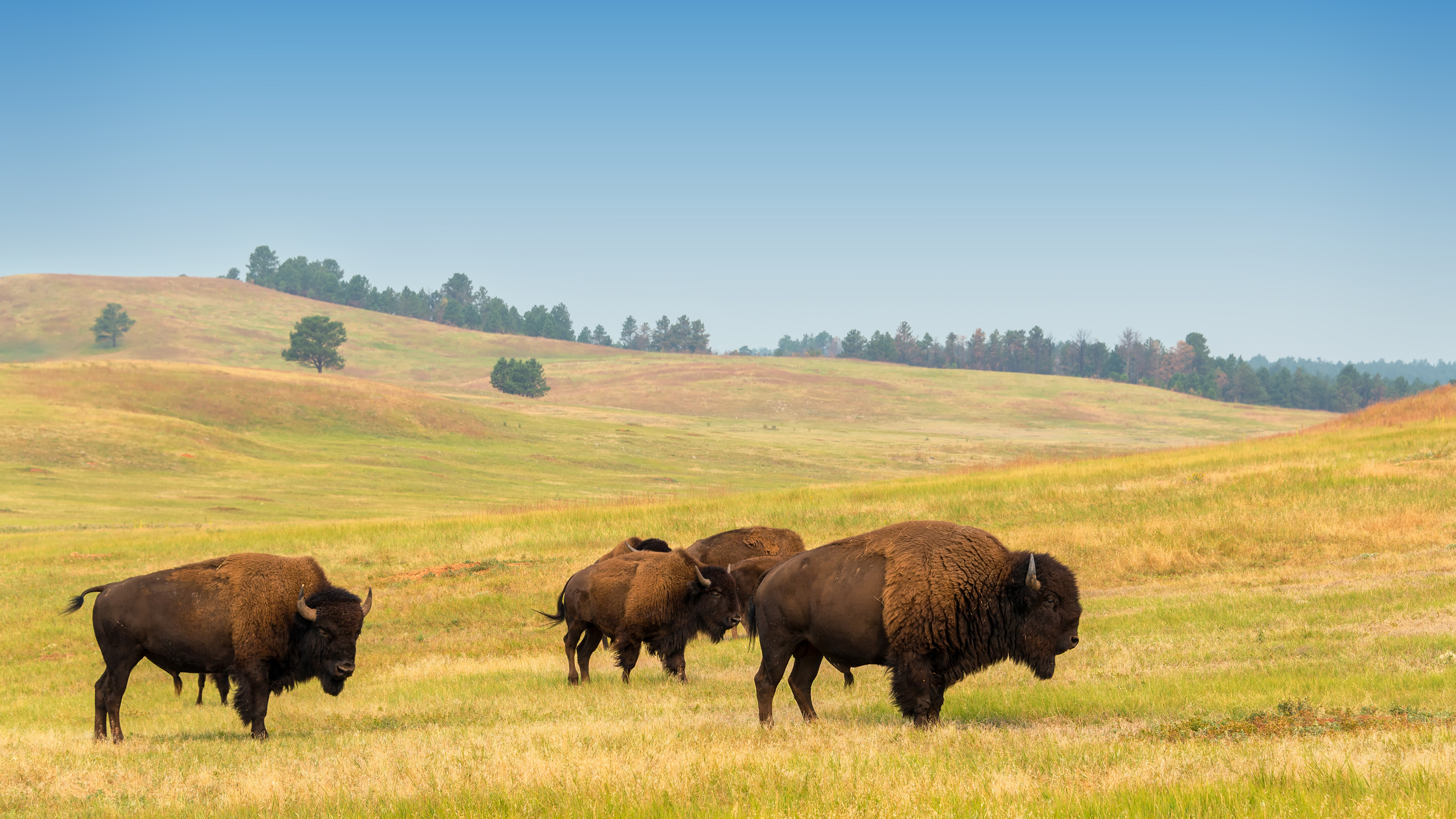 Mitigating Risks with Cost-Effective Solutions