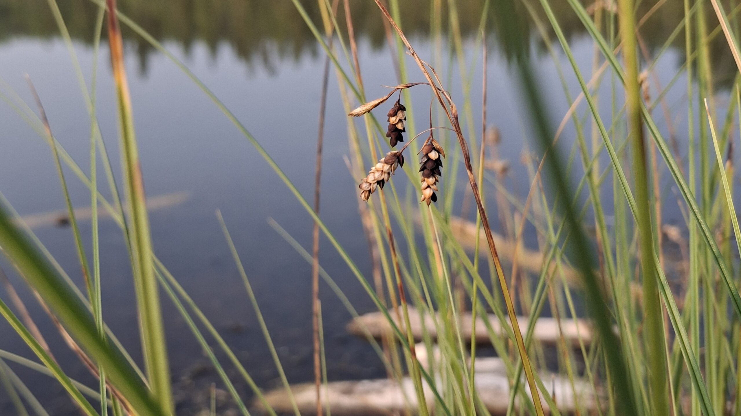 Science-Based Environmental Intelligence