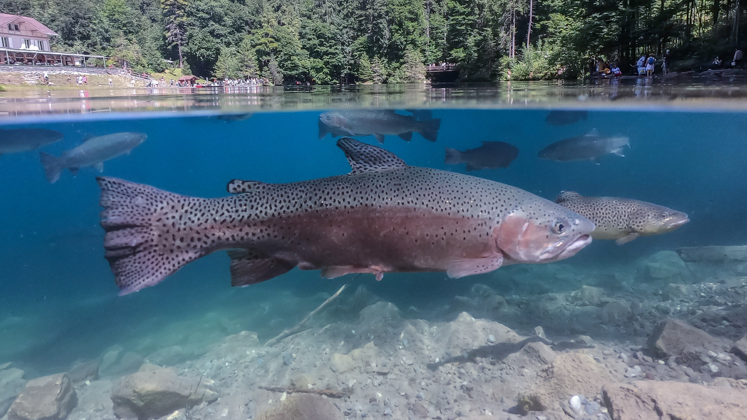 Informed by Data, Driven by Compliance