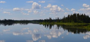 Environmental Guideline Development